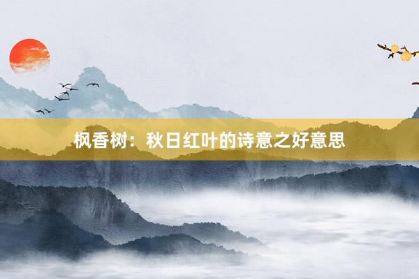 枫香树：秋日红叶的诗意之好意思