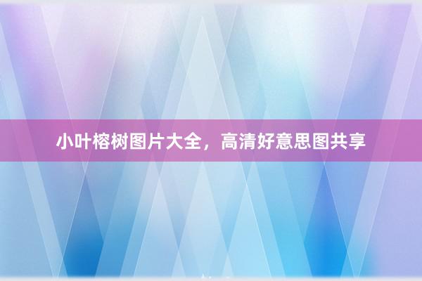 小叶榕树图片大全，高清好意思图共享