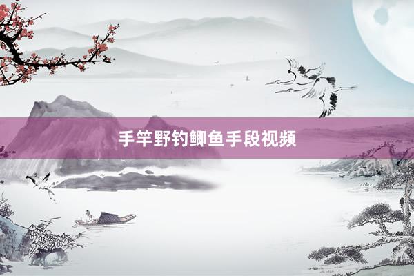 手竿野钓鲫鱼手段视频